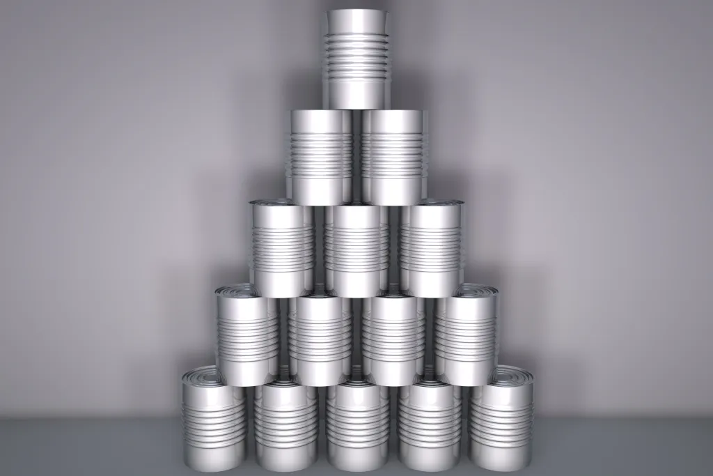 programa- en projectmanagement