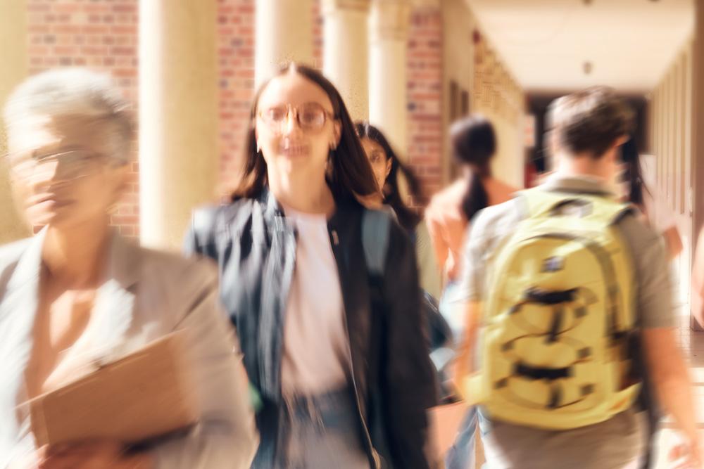 Werken met portfolio en bewijzen