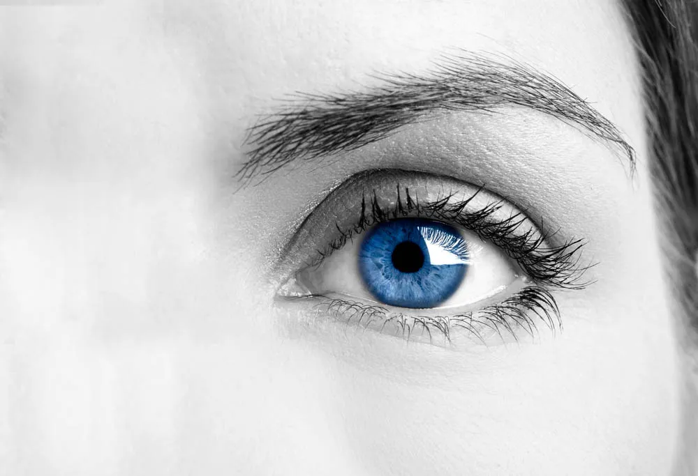 oog